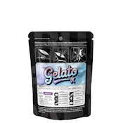 Gelato X | 3.5g Indoor Minis