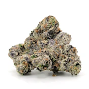 Lemon Cherry Fade | 3.5g Reserve Indoor Selection