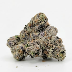 Buddaflies - Lemon Cherry Fade | 3.5g Reserve Indoor Selection