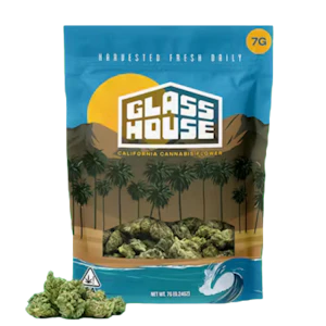 Glass House Farms - Glass House Farms - Zuava (H) - Greenhouse - 7g