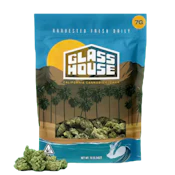 Glass House Farms - Space Funk GMO (H) - Greenhouse - 7g