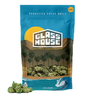 Glass House Farms - Glass House Farms - Gelato 41 x Animal Mints (H) - Greenhouse - 14g