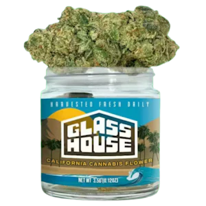 Glass House Farms - Glass House Farms - Heir Head (H) - Greenhouse - 3.5g