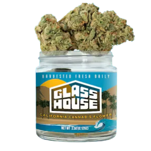 Glass House Farms - Glass House Farms - Lemon Cherry Sorbet (I) - Greenhouse - 3.5g