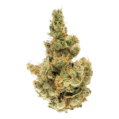 Northern Emeralds - Orange Apricot - Indoor - 3.5g