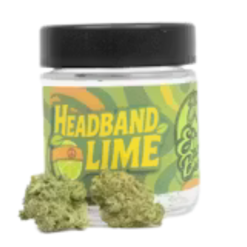 Eighth Brother — Brothers - Headband Lime