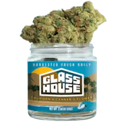Glass House Farms - Black Garlic Gelato (I) - Greenhouse - 3.5g