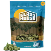 Glass House Farms - Chedder Cheeze (I) - Greenhouse - 7g