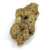 Pineapple Macaron | 3.5g Reserve Indoor Selection