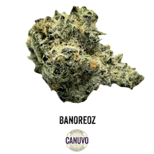 Canuvo Cultivation - Canuvo | Ban-Or-Eoz | Premium Flower | 7g [H]