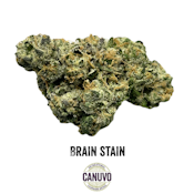 Canuvo | Brain Stain | 3.5g [I]