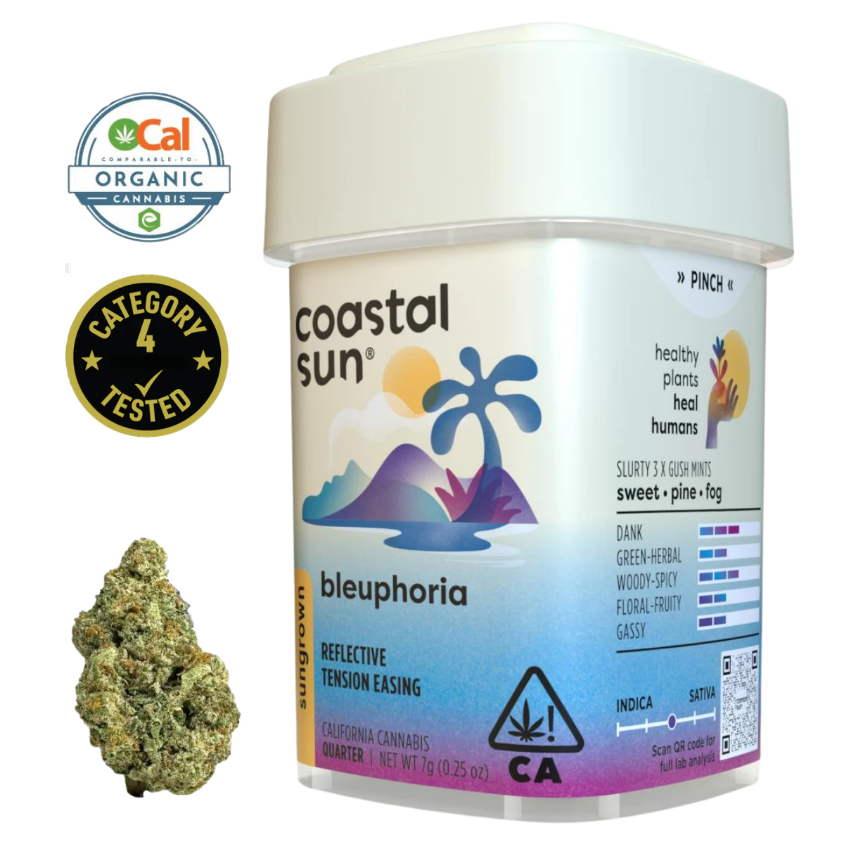 Coastal Sun - Bleuphoria (H) | 7g Sun Grown Flower | Coastal Sun Main Image