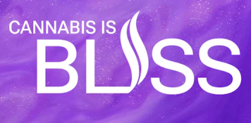 Bliss- Watermelon Drip 1.25g Infused Preroll