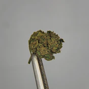 Bonafide Cannabis | Flower [S] | Blood Orange Runtz (1354)