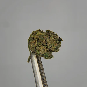 Bonafide - Bonafide Cannabis | Flower [S] | Blood Orange Runtz (1354)