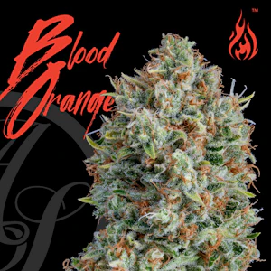 AltSol - 3.5g Blood Orange - Sativa Leaning Hybrid 