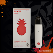 Bloom Classic Surf All-In-One 1000mg | Pineapple Express