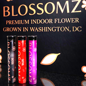 Blossomz - 1 G Illuminati OG Indica Preroll By Blossomz