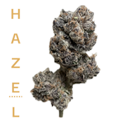 Blue Zushi - 3.5g - Hazel