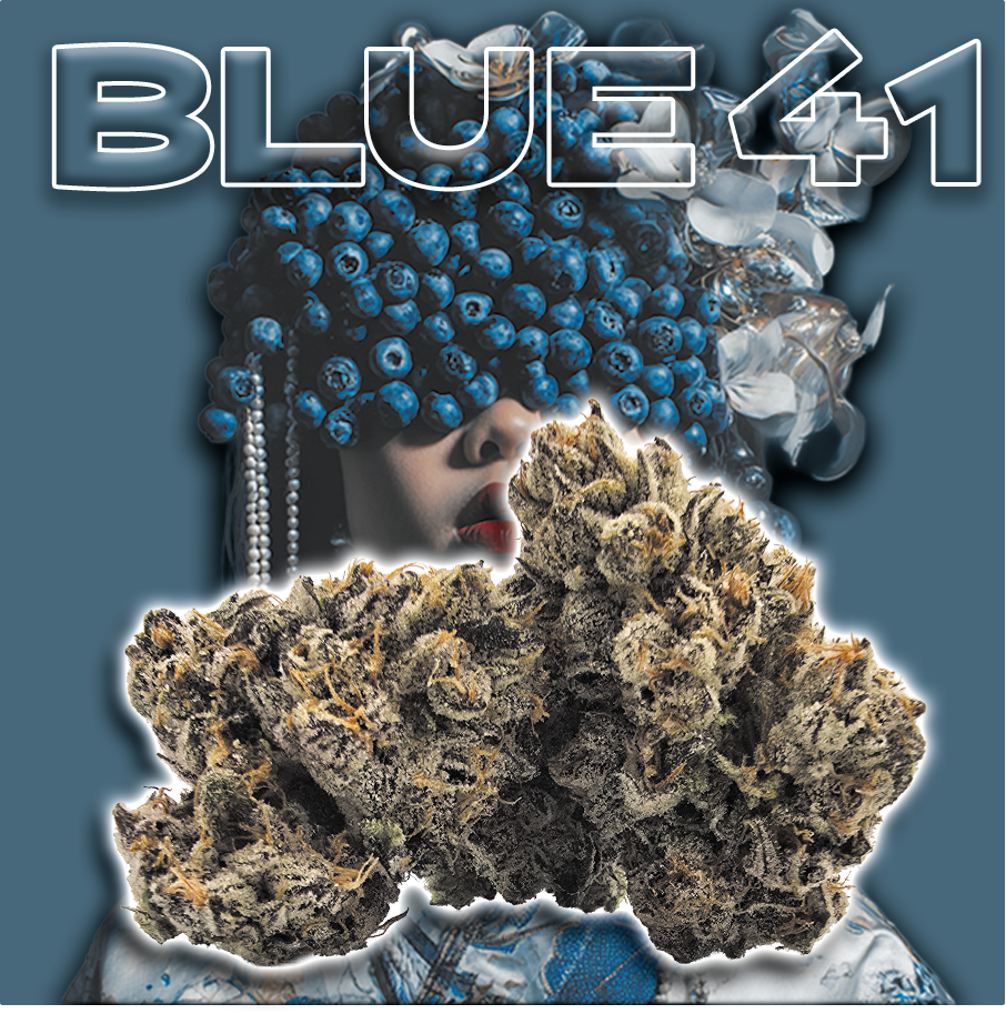 14g | $110 Blue 41 (I) - Green Dragon Cannabis Dispensary