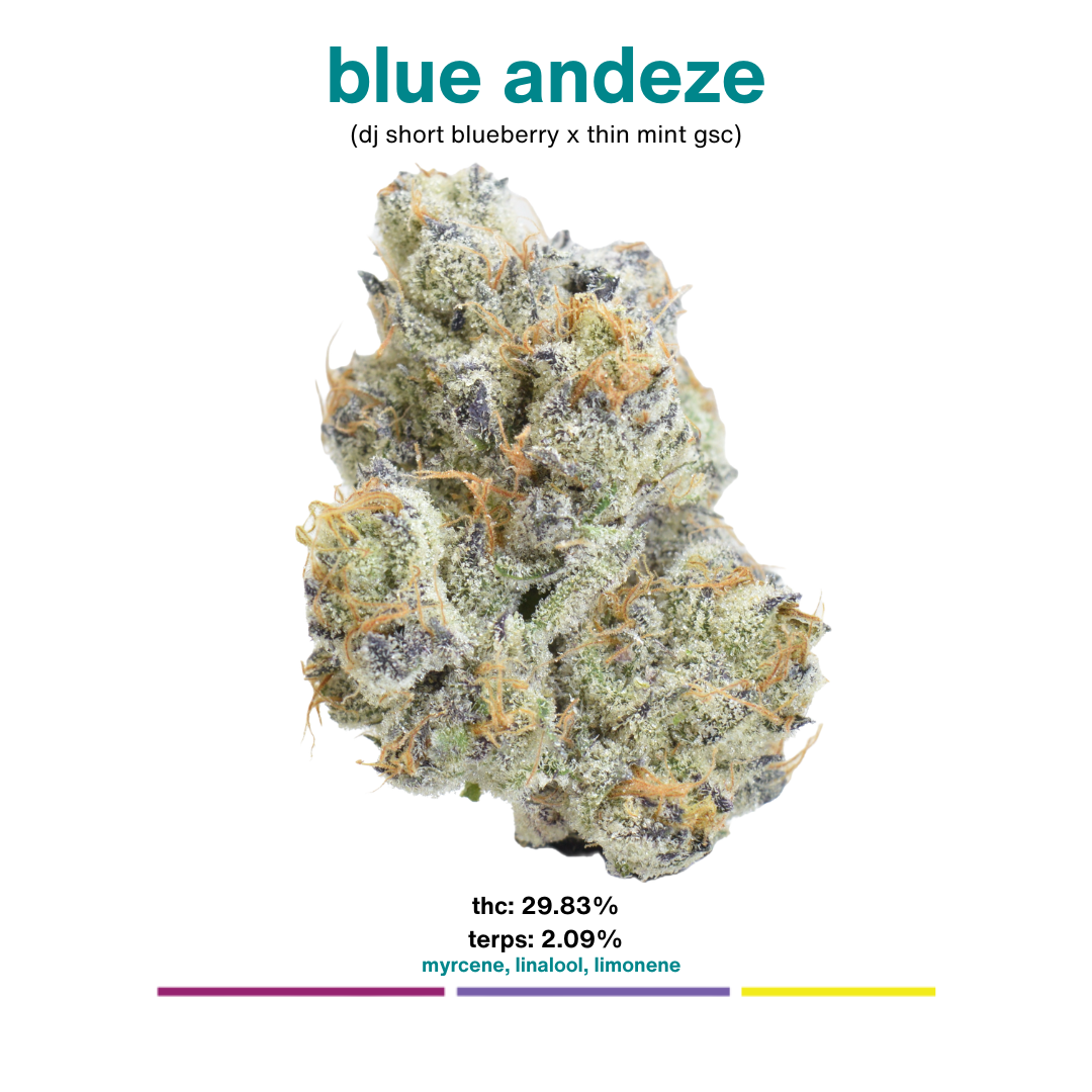 MOCA Flowers - 1/8th Mylar Bag - Blue Andeze