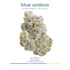 Product Preview Image 1