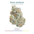 Product Preview Image 1