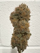 Blue City Diesel Deli Flower