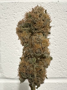 ALTERNATIVE SOLUTIONS - Blue City Diesel Deli Flower