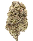 TVC | Blue Cookies | Flower