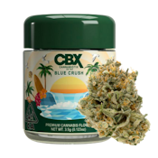 Blue Crush (H) | 3.5g Premium Flower | CBX