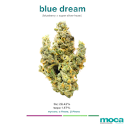 MOCA Flowers - Smalls 1/4 Bag - Blue Dream
