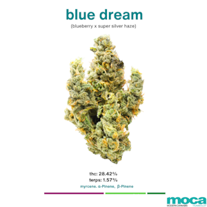MOCA Flowers - MOCA Flowers - Smalls 1/4 Bag - Blue Dream