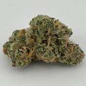 ECW- Blue Dream