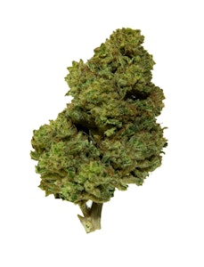 Rolling Green Cannabis - Rolling Green Cannabis - Blue Dream - 3.5g - Flower