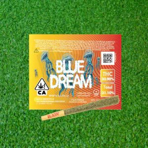 MOTA - Mota .75g Pre-Roll Blue Dream Main Image