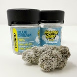 Blue Dream -Hybrid- (Flower) Snowballz 3.5g | Hashtag Honey   -vvv6