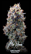 Blue Dream Bulk Deli Flower By Alt Sol
