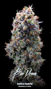 ALTERNATIVE SOLUTIONS - Blue Dream Bulk Deli Flower By Alt Sol