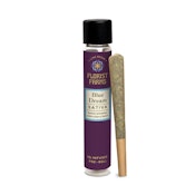 Blue Dream | Infused Pre-roll | 1g | Florist Farms