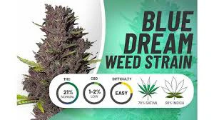 HDH FARMS - Blue Dream 14GM (S) Main Image