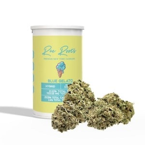 REC ROOTS - REC ROOTS | Blue Gelato | 3.5G