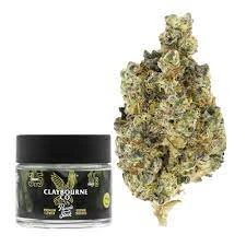 Claybourne Co. - [Claybourne] Flower - 7g - Kush Mints (H) Main Image
