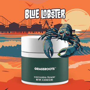 Grassroots - Flower | Smalls | Grassroots | Blue Lobster | 14g