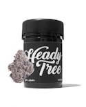 Heady Tree - Future Haze - 3.5g - Flower