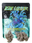 UMMA Sonoma | Blue Lobster | 3.5g