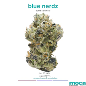MOCA Flowers - MOCA Flowers - 1/8th Mylar Bag - Blue Nerdz