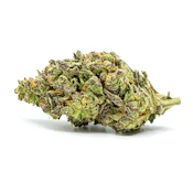 Blue Nerdz | Greenhouse 3.5g