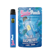 Blue Raspberry Disposable Pen - 1g