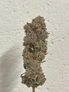 ALTERNATIVE SOLUTIONS - Blue Sharpies Half Oz 14 - Grams By Alt Sol